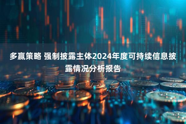 多赢策略 强制披露主体2024年度可持续信息披露情况分析报告