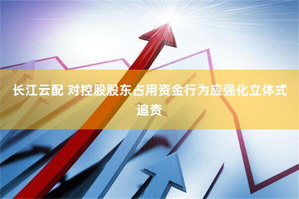 长江云配 对控股股东占用资金行为应强化立体式追责