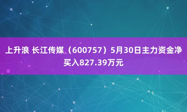 上升浪 长江传媒（600757）5月30日主力资金净买入827.39万元