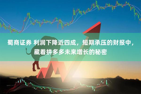 蜀商证券 利润下降近四成，短期承压的财报中，藏着拼多多未来增长的秘密