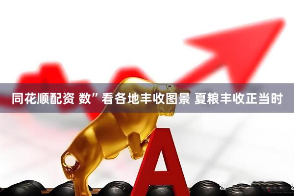同花顺配资 数”看各地丰收图景 夏粮丰收正当时
