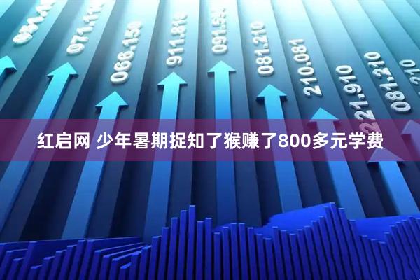 红启网 少年暑期捉知了猴赚了800多元学费