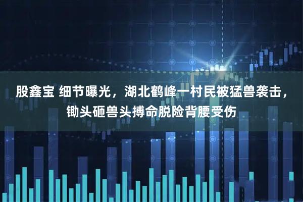 股鑫宝 细节曝光，湖北鹤峰一村民被猛兽袭击，锄头砸兽头搏命脱险背腰受伤