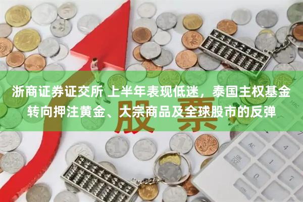 浙商证券证交所 上半年表现低迷，泰国主权基金转向押注黄金、大宗商品及全球股市的反弹