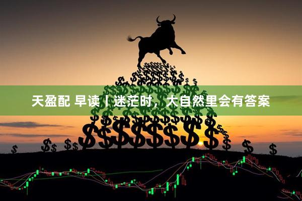 天盈配 早读丨迷茫时，大自然里会有答案