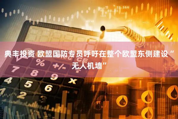 典丰投资 欧盟国防专员呼吁在整个欧盟东侧建设“无人机墙”