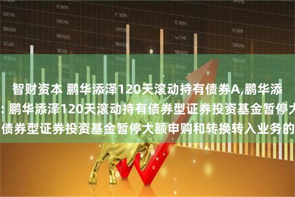 智财资本 鹏华添泽120天滚动持有债券A,鹏华添泽120天滚动持有债券C: 鹏华添泽120天滚动持有债券型证券投资基金暂停大额申购和转换转入业务的公告