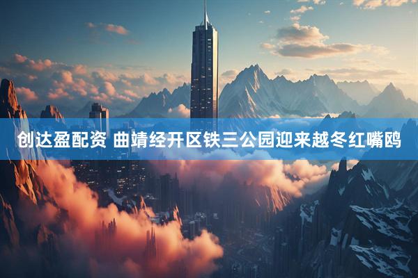 创达盈配资 曲靖经开区铁三公园迎来越冬红嘴鸥