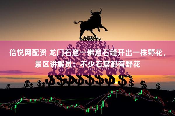 倍悦网配资 龙门石窟一佛窟石缝开出一株野花，景区讲解员：不少石窟都有野花